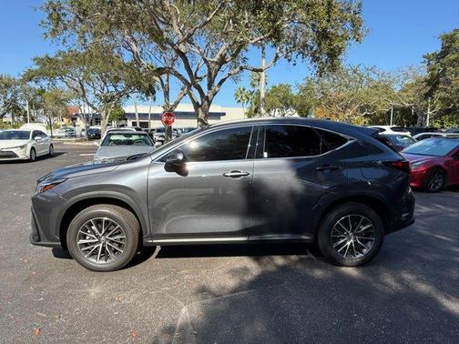 2025 Lexus NX 250 Base