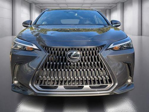 2025 Lexus NX 250 Base