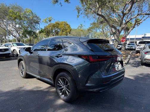 2025 Lexus NX 250 Base