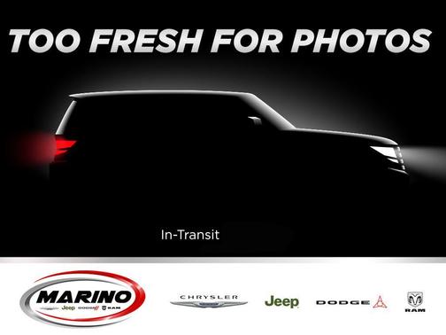 Alpine White Clearcoat 2020 Jeep Renegade Limited