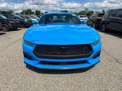 Grabber Blue Metallic 2024 Ford Mustang EcoBoost
