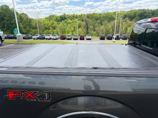 MAGNETIC 2018 Ford F-150 XLT