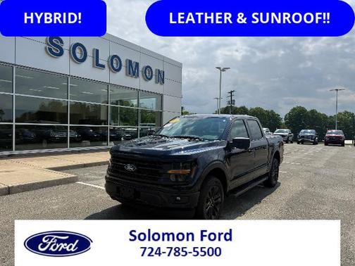 2024 Ford F-150 XLT