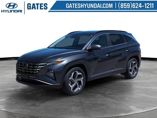 Portofino Gray 2022 Hyundai TUCSON SEL