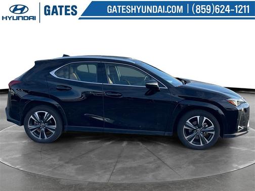 2025 Lexus UX 300h 300H