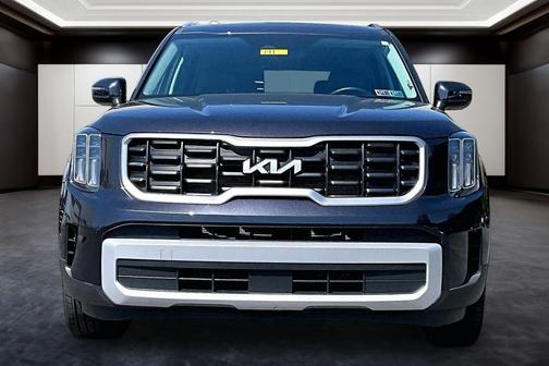 Panthera Metal 2025 Kia Telluride S