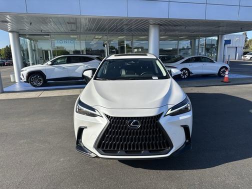 2024 Lexus NX 350 Premium