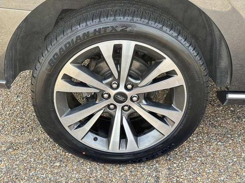 Magnetic 2021 Ford Expedition Platinum