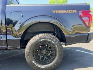 Agate Black Metallic 2025 Ford F-150 Tremor