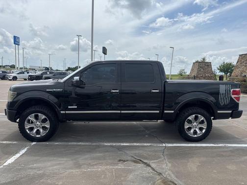 Tuxedo Black Metallic 2014 Ford F-150 Platinum