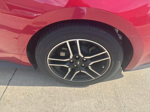 Rapid Red Metallic Tinted Clearcoat 2020 Ford Mustang EcoBoost