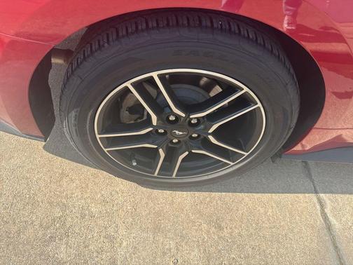 Rapid Red Metallic Tinted Clearcoat 2020 Ford Mustang EcoBoost