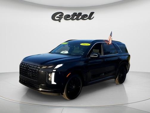 Abyss Black Pearl 2025 Hyundai PALISADE Calligraphy Night Edition
