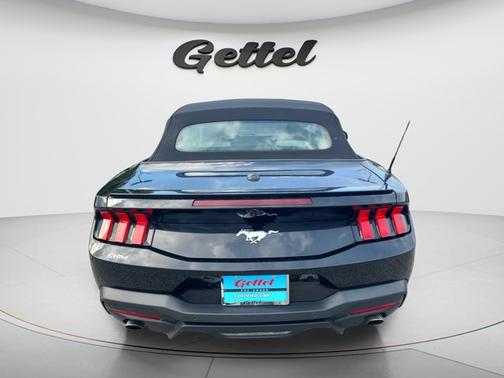SHADOW BLACK 2024 Ford Mustang EcoBoost Premium