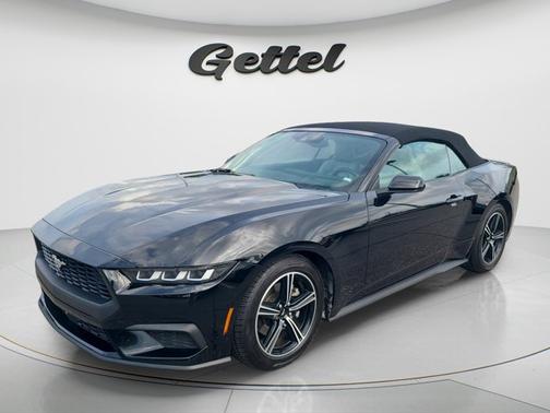 SHADOW BLACK 2024 Ford Mustang EcoBoost Premium