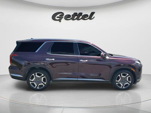 Sierra Burgundy 2024 Hyundai PALISADE Limited