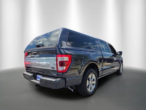 SMOKED QUARTZ TINTED CC MET 2021 Ford F-150 PLATINUM