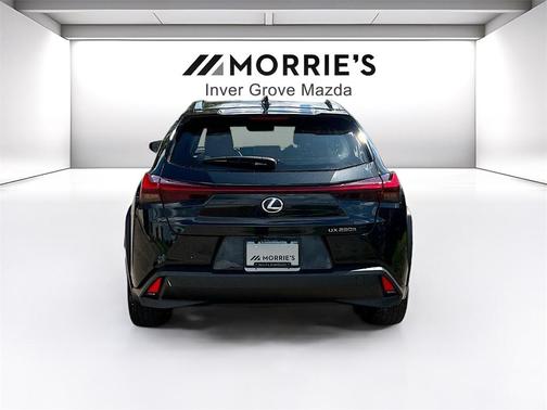 2021 Lexus UX 250h Base