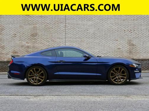 Kona Blue Metallic 2019 Ford Mustang EcoBoost Premium