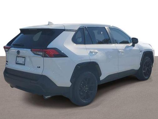 Ice 2025 Toyota RAV4 LE