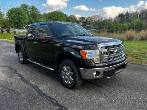 Purple 2013 Ford F-150 XLT