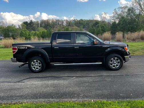 Purple 2013 Ford F-150 XLT