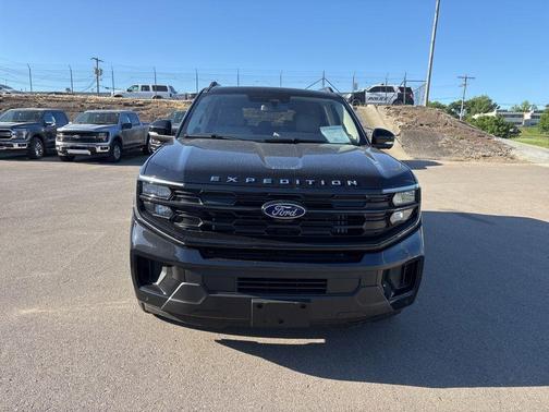 Black Metallic 2025 Ford Expedition Active