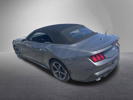 Carbonized Gray Metallic 2025 Ford Mustang EcoBoost Premium