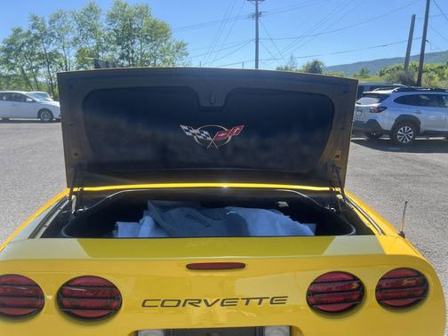 Millennium Yellow 2004 Chevrolet Corvette Base