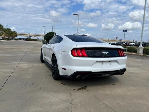 2022 Ford Mustang EcoBoost
