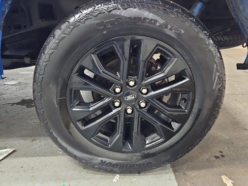 VELOCITY BLUE 2019 Ford F-150 XL