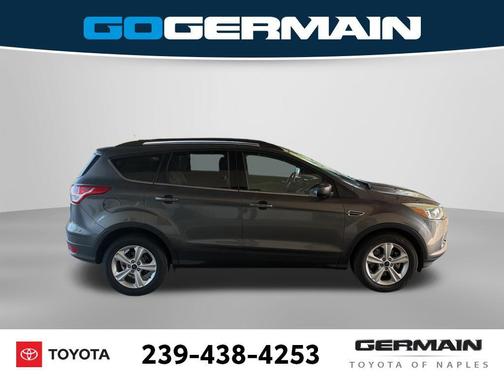Magnetic 2015 Ford Escape SE