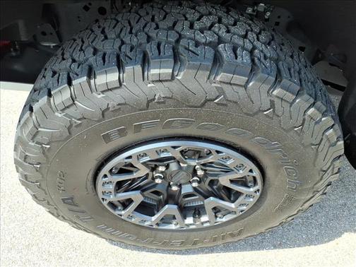 AVALANCHE 2024 Ford F-150 RAPTOR