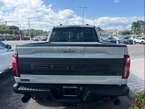 AVALANCHE 2024 Ford F-150 RAPTOR