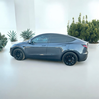 2023 Tesla Model Y RWD