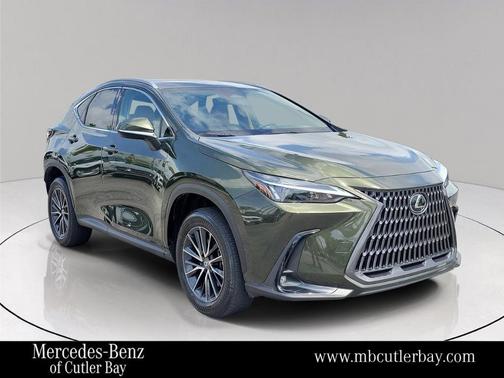Green Pearl 2024 Lexus NX 250 Base