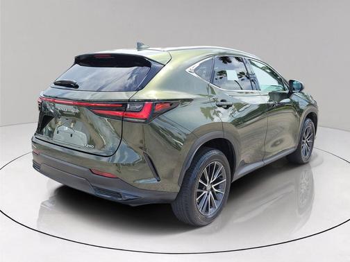 Green Pearl 2024 Lexus NX 250 Base