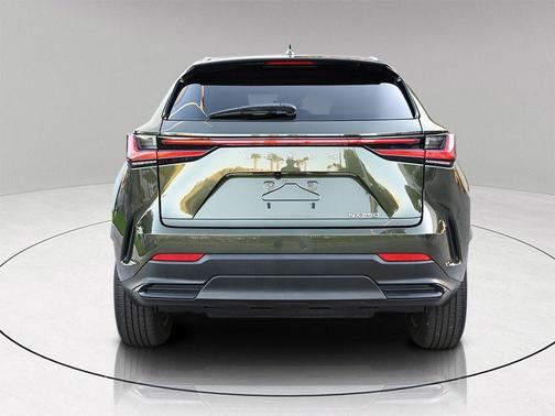 2024 Lexus NX 250 Premium