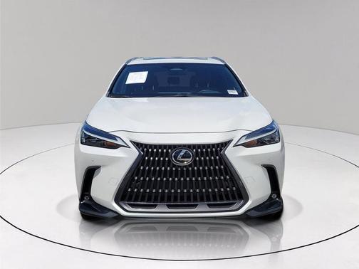 White Pearl 2024 Lexus NX 350 Premium