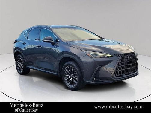 2024 Lexus NX 250 Base