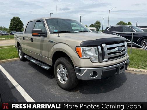 2009 Ford F-150