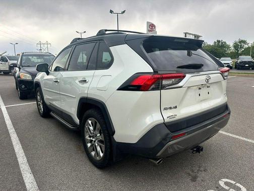 Blizzard Pearl 2019 Toyota RAV4 Limited
