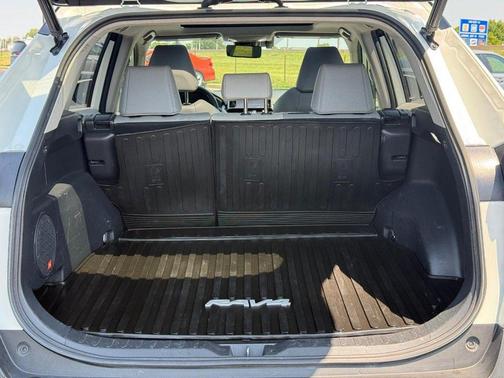 Blizzard Pearl 2019 Toyota RAV4 Limited