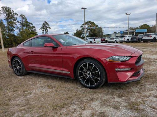 2022 Ford Mustang EcoBoost
