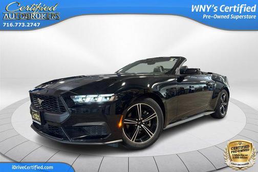 SHADOW BLACK 2024 Ford Mustang EcoBoost Premium