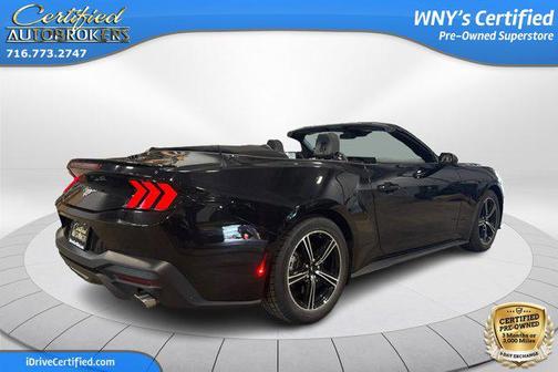 SHADOW BLACK 2024 Ford Mustang EcoBoost Premium