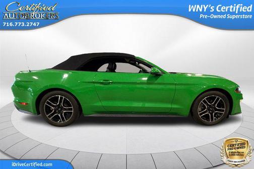NEED FOR GREEN 2019 Ford Mustang EcoBoost Premium