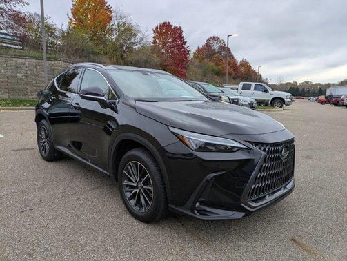 2025 Lexus NX 350 Premium
