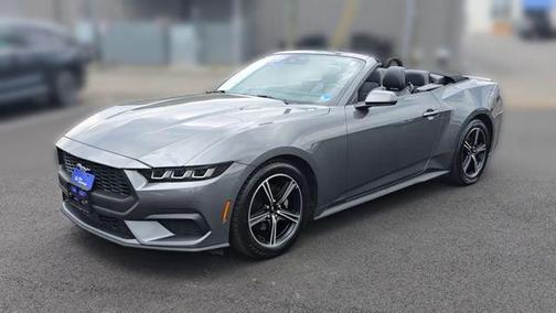 Gray Metallic 2025 Ford Mustang EcoBoost Premium