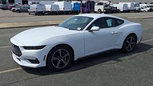 Oxford White 2025 Ford Mustang EcoBoost